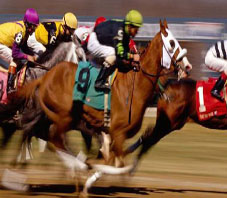 iran_horse_riding